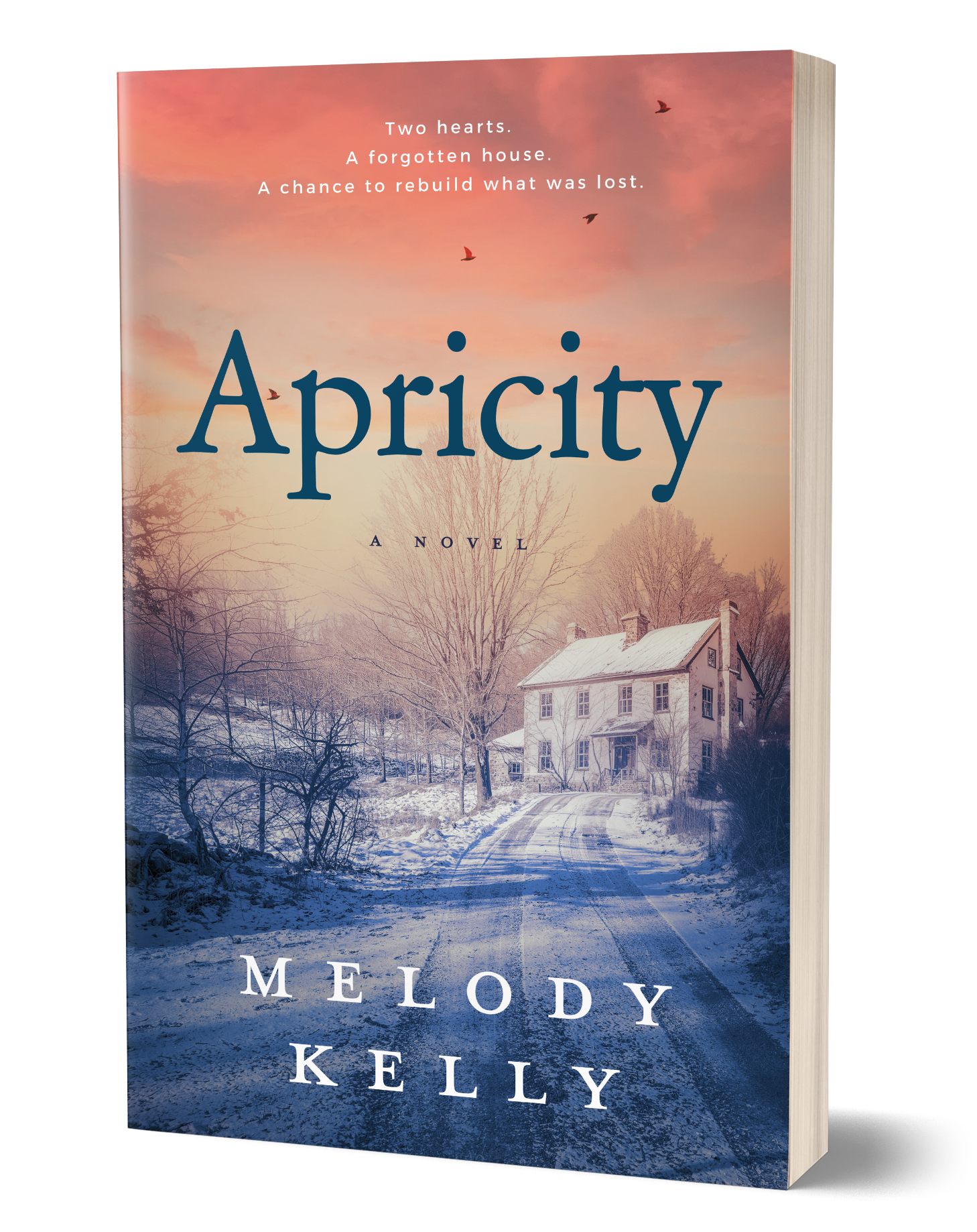 Apricity - A Novel by Melody Kelly